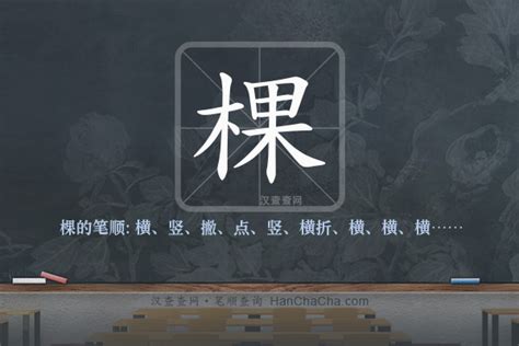 棵造詞|棵字造詞 / 棵字詞語大全